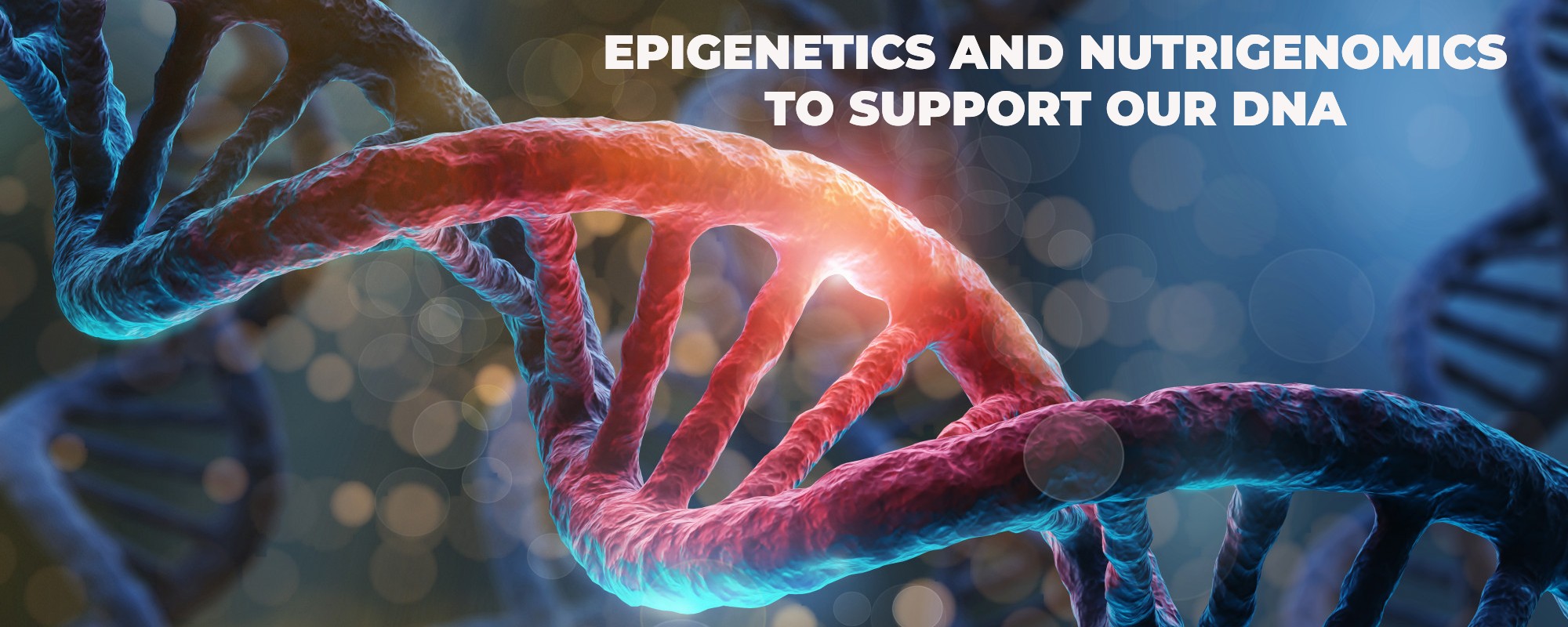 Epigenetics & Nutrigenomics: How Superfood Frequencies Switch On Your Genes
