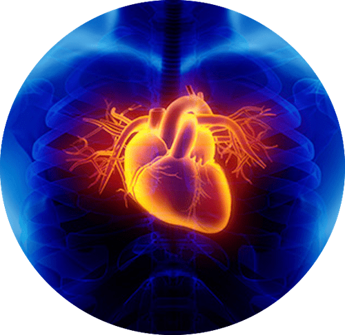 Heart Diseases