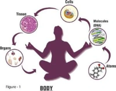 Multi-dimensional Energetic Being